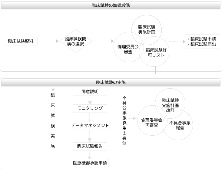 中国臨床試験手順フロー